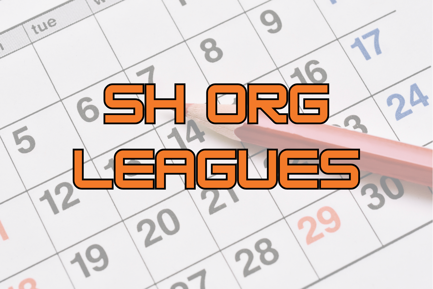 SH Org Leagues